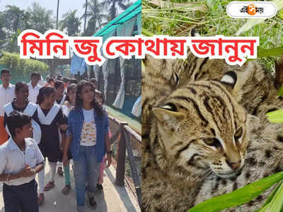 Garchumuk Mini Zoo : অপেক্ষার তিন দিন, খুলছে রাজ্যের মিনি জু