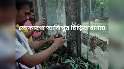 Alipore Zoo: নয়া লুকের জু, দর্শক পেরোল ৫০ হাজার