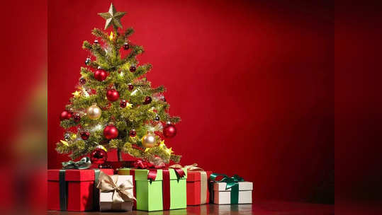 Christmas 2023 : கிறிஸ்துமஸ் மரம் எதற்காக வைப்படுகிறது? இது எதை குறிக்கிறது?