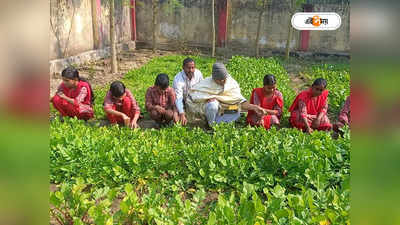 Deaf And Blind School : স্পর্শ-গন্ধ দিয়েই গাছ চেনা! প্রকৃতির পাঠশালায় শিক্ষা নেয় ওরা