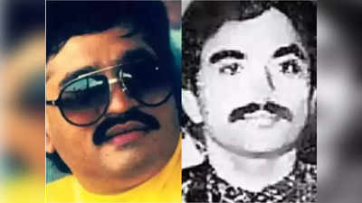 Dawood Ibrahim News : दाऊद १००० टक्के ठणठणीत, विषबाधेच्या चर्चा निराधार, छोटा शकीलने मृत्यूचर्चेतील हवा काढली