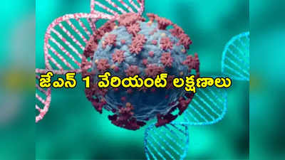 Covid-19 Updates: భారత్‌ను భయపెడుతున్న కరోనా కొత్త వేరియంట్.. అసలు జేఎన్ 1 లక్షణాలు, వ్యాప్తి ఎలా ఉంటాయంటే?