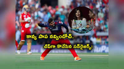 SRH IPL 2024: రూ. 10.75 కోట్ల నుంచి కోటిన్నరకు పడిపోయిన స్టార్ ఆల్‌రౌండర్.. చీప్‌గా కొనేసిన సన్‌రైజర్స్ 