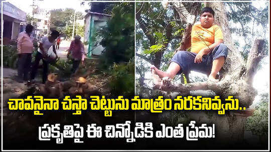 boy protested against cutting down a tree in sangareddy district