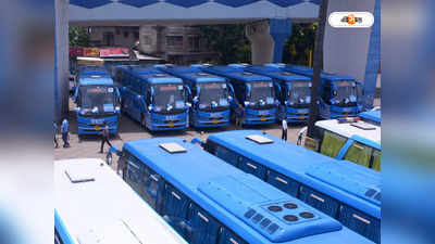 Kolkata To Raidighi Bus : রায়দিঘিতে গড়ে উঠছে বাস টার্মিনাস! দিঘা, কলকাতা রুটে চলবে সরকারি বাস