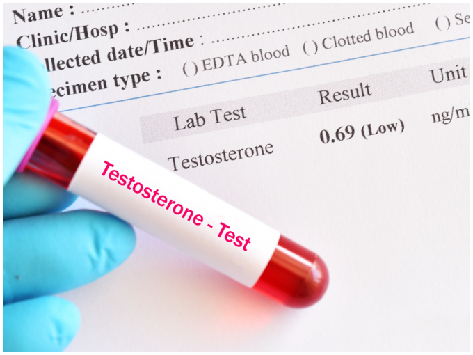 ಟೆಸ್ಟೋಸ್ಟಿರೋನ್ ವೃದ್ಧಿ