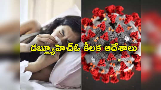 JN 1 Variant: ప్రపంచాన్ని భయపెడుతున్న జేఎన్ 1 వేరియంట్.. డబ్ల్యూహెచ్‌ఓ కీలక ఆదేశాలు! 