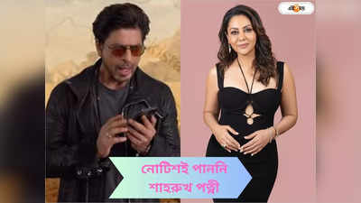 Shah Rukh Khan Wife: শাহরুখকে বিপদে ফেলতেই কি তবে ষড়যন্ত্র? গৌরীকে ডাকাই হয়নি জানাল ইডি