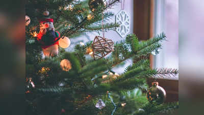 Christmas Tree: বাস্তু মেনে বড়দিনে ঘরের এই দিকে রাখুন ক্রিসমাস ট্রি, ছড়িয়ে পড়বে পজিটিভ এনার্জি