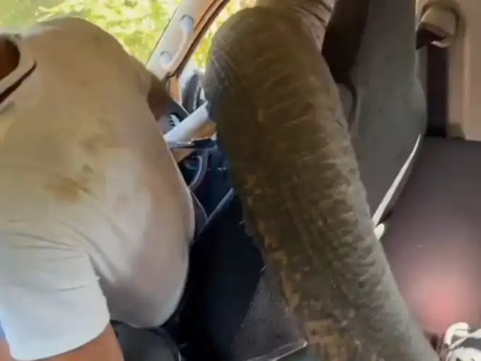 यूजर्स ने किए मजेदार कमेंट