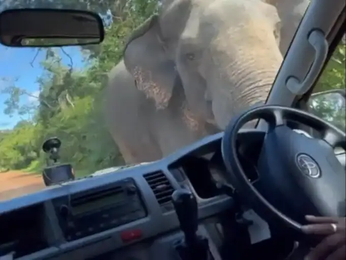 मांग रहा था खाना, सूझबूझ से टला हादसा