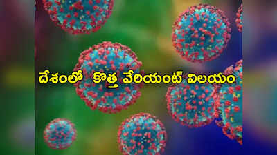 Covid New Variant: దేశంలోని 3 రాష్ట్రాల్లో 21 కొత్త వేరియంట్ జేఎన్1 కేసులు.. వెల్లడించిన ఇన్సాకాగ్