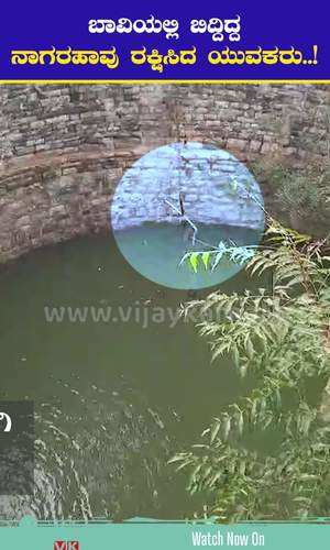 the youth rescued a snake that was lying in a well in gadag district