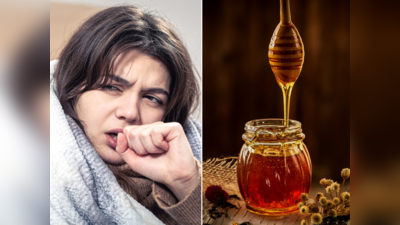 Cough Home Remedy: કાળી-સૂકી કે કોઇ પણ પ્રકારની ખાંસીનો કરો રાતોરાત ઇલાજ, મધમાં મિક્સ કરો આ 1 વસ્તુ અને જૂઓ કમાલ 