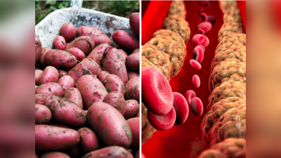 Red Potatoes Benefits: सारी सब्जियों का बाप निकला लाल आलू, कोलेस्ट्रॉल-फैट की करता है छटनी, BP रहेगा कंट्रोल