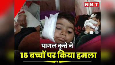 अलवर में पागल कुत्ते ने 15 मासूम बच्चों को नोचा, कान और गाल काटकर अलग कर दिए, गंभीर घायलों को जयपुर किया रेफर