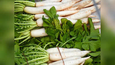 Radish leaves Health Benefits: ముల్లంగి ఆకులు పారేస్తున్నారా..? ఈ అద్భుతమైన ప్రయోజనాలు మిస్‌ అవుతున్నట్లే..!