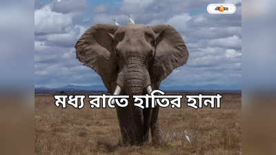 Elephant Attack: হাতির হানা, খাটের নীচে লুকিয়ে বরাতজোরে রক্ষা