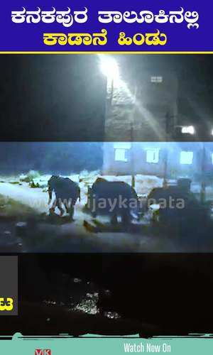 wild elephants movement in kanakapura taluk hosa hebbalu kanchugaranahalli video viral