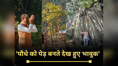Shivraj Singh Chouhan: प्रकृति प्रेमी भी हैं लाडली बहनों के भैया शिवराज, पौधे को पेड़ बनते देख हुए भावुक