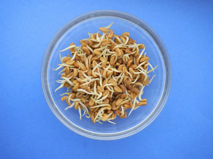 sprouted fenugreek seeds methi dana (2)
