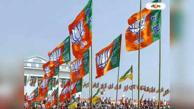 Lok Sabha Election 2024 : বিজেপি ইস্তাহারে কী? নেতাদের লিস্ট দেবেন এমপি-রাও