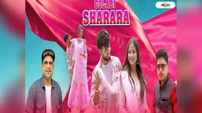 Gulabi Sharara: কোটি কোটি ভিউজ, রিল বানাচ্ছে গোটা দেশ! গুলাবি শারারার দৌলতে রাতারাতি বিখ্যাত হোটেলের শেফ