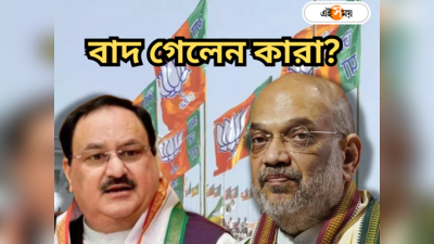 BJP West Bengal : ভোট ম্যানেজার টিম তৈরি করেননি শাহ-নাড্ডা, দাবি সুকান্তর