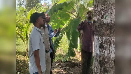 அருப்புக்கோட்டையில் மண்ணின் தன்மைக்கு ஏற்ப வளரும் மரங்கள் குறித்து ஆய்வு!