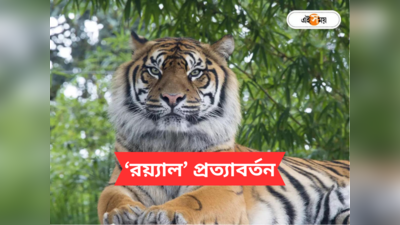 Sundarban : জঙ্গলে ফিরল রয়্যাল বেঙ্গল, ধড়ে প্রাণ এল গ্রামবাসীর