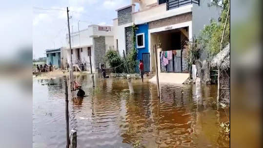 மதுரை விளாச்சேரி கால்வாய் உடைப்பு! 200க்கும் மேற்பட்ட வீடுகளை சூழ்ந்த வெள்ள நீர்!