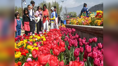 राजनिवास से लेकर डीडीए पार्क, दिल्ली को खूबसूरत बनाएगें ये खास फूल, जानें कैसी है तैयारी