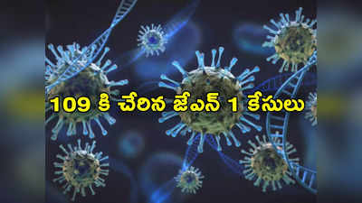 JN1 Variant: దేశంలో 109 కి చేరిన జేఎన్ 1 వేరియంట్.. 24 గంటల్లో 529 కొవిడ్ కేసులు, ముగ్గురు మృతి