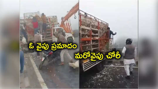 Agra Highway: పొగమంచుతో హైవేపై రోడ్డు ప్రమాదం.. వ్యాన్ నుంచి కోళ్లు ఎత్తుకెళ్లిన స్థానికులు.. వీడియో వైరల్ 