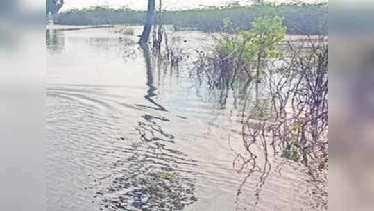 முழுமையாக நிரம்பிய புத்தன் தருவைகுளம்; போக்குவரத்து துண்டிப்பால் தூத்துக்குடி மக்கள் அவதி!