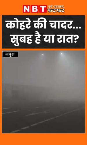 visibility reduced due to dense fog in mathura weather watch video