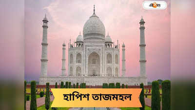 Taj Mahal: উধাও হয়ে গেল তাজমহল! তাজ্জব পর্যটকরা
