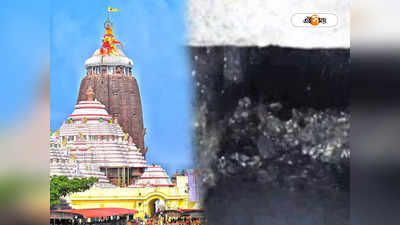 Shree Jagannatha Temple Puri: পুরী জগন্নাথ মন্দিরে রহস্যজনক টানেল! তুমুল শোরগোল
