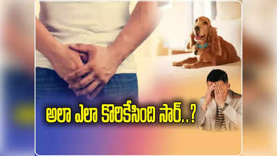 పెంపుడు కుక్క ఎంత పనిచేసింది? చెప్పుకోలేని బాధ 