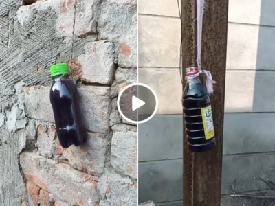 क्या आपने घरों के बाहर नीली बोतल टंगी देखी है? इस वीडियो में जानिए क्यों इतना वायरल है ये टोटका