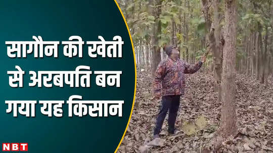 mp news farmer became a billionaire by planting teak trees in 20 years