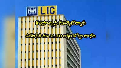 LIC: కలిసొచ్చిన మార్కెట్ల ర్యాలీ.. ఎల్ఐసీకి రూ.2.30 లక్షల కోట్లు లాభం! 