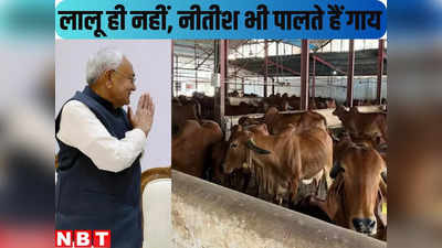 Bihar : लालू यादव ही नहीं, सीएम नीतीश को भी गाय पालने का है शौक... लेकिन उनसे कहीं ज्यादा अमीर राजद के मंत्री जी