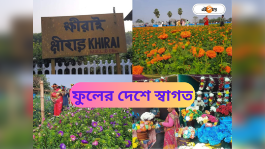 Khirai Valley Of Flowers : শীতকালে একবেলায় সহজেই ঘুরে আসুন ফুলের দেশ-এ, যাতায়াত খরচও সামান্য 