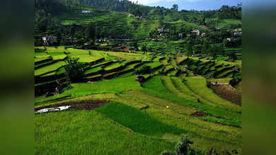 उत्तराखंड में बाहरी नहीं खरीद पाएंगे जमीन, धामी सरकार ने लिया बड़ा फैसला