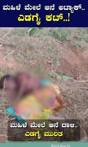 a woman was attacked by an elephant in ramanagara