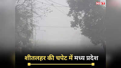 MP Weather: शीतलहर की चपेट में मध्‍य प्रदेश, शिवपुरी में दो दिन से नहीं निकला सूरज, घना कोहरा छाया