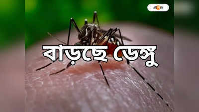 Dengue Update : শীতেও ডেঙ্গি, ভিলেন কি আবহাওয়া!