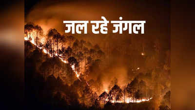 Uttarakhand Forest Fire: उत्तराखंड की मदमहेश्वर घाटी धधक रही, जंगलों की आग धीरे-धीरे बढ़ती जा रही