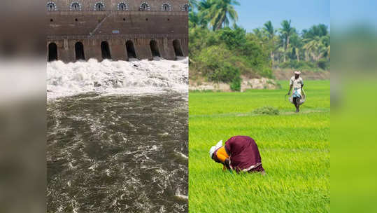 ​மேட்டூர் அணையில் தண்ணீர் திறப்பு எப்போது? - காவிரி விவசாயிகள் கோரிக்கை - முடிவெடுக்குமா தமிழக அரசு?